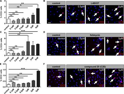 TLR4 Associated Signaling Disrupters as a New Means to Overcome HERV-W Envelope-Mediated Myelination Deficits
